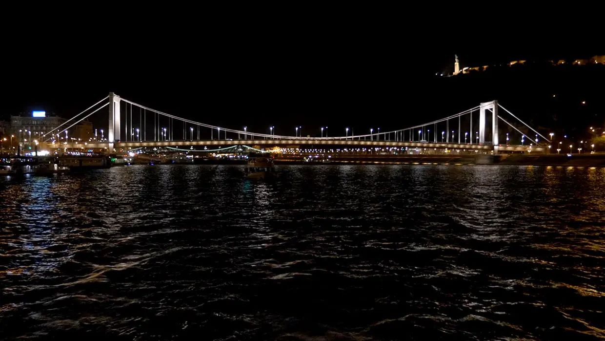 Budapest bridge at night
